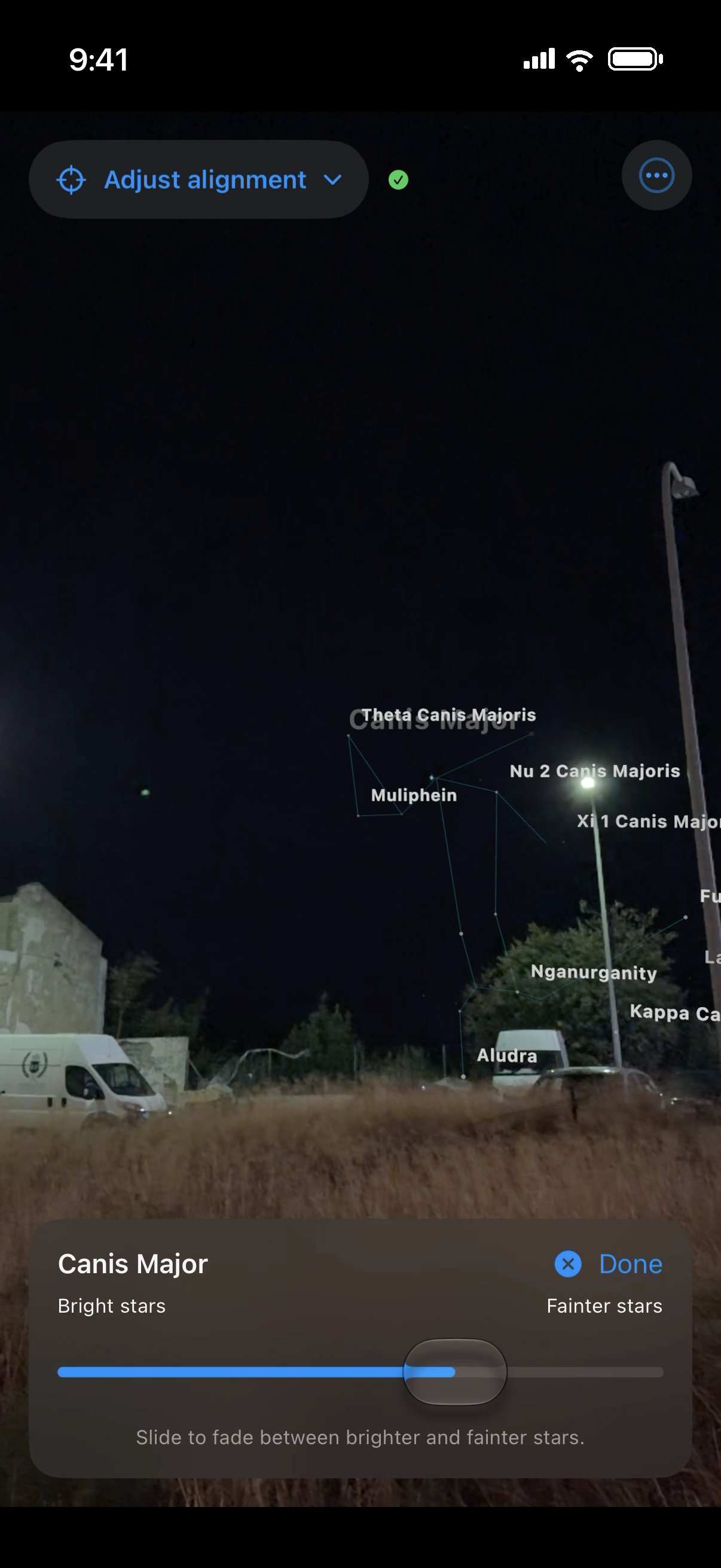 Canis Major in focus with the slider moved towards fainter stars, revealing more named members